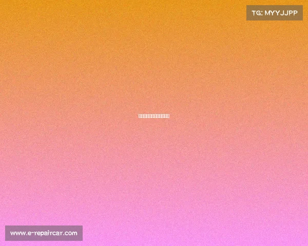 中国电子竞技冠军视频回放